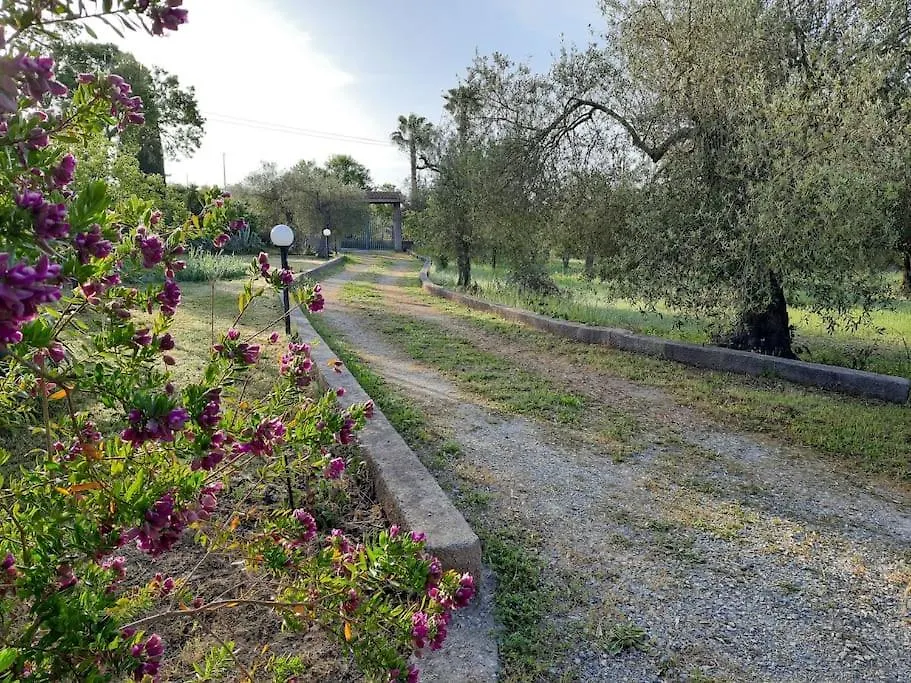 Eden Delle Olive Villa Alghero